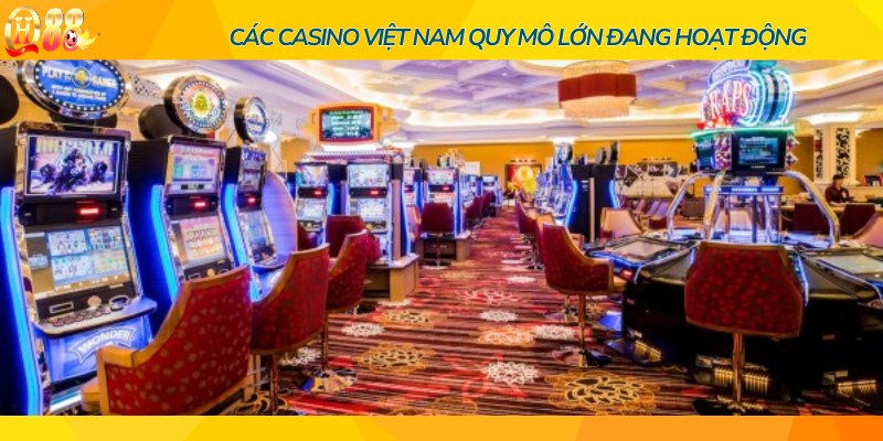 Hệ thống Casino Việt Nam chủ yếu hoạt động phục vụ khách nước ngoài 